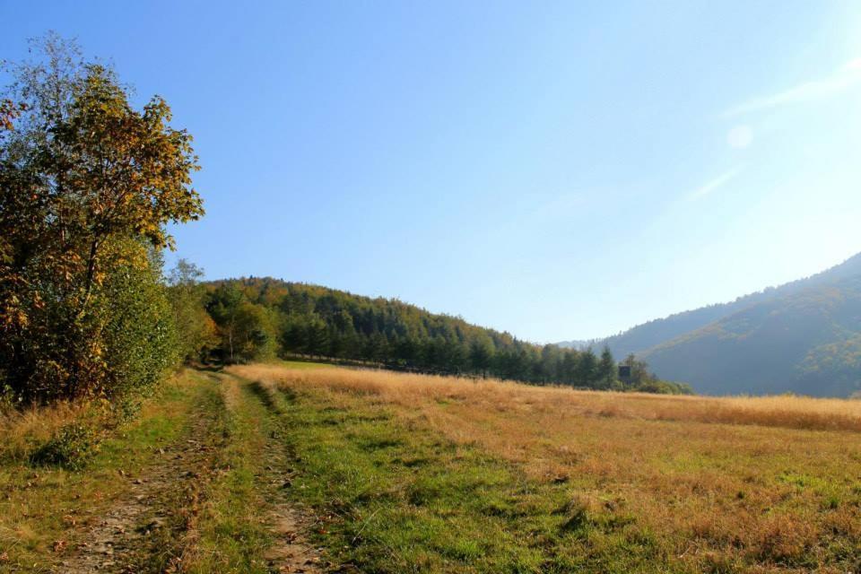 Beskidzki Domek Caloroczny Andrychow Exterior photo